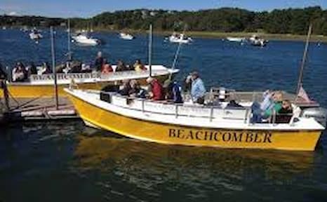 Beachcomber Boat Tours, Chatham