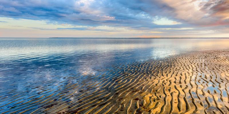 Walk on the Ocean Floor at the Brewster Flats (Brewster)