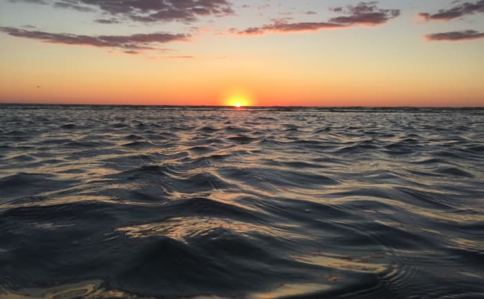 Welcome to Cape Cod Impressions