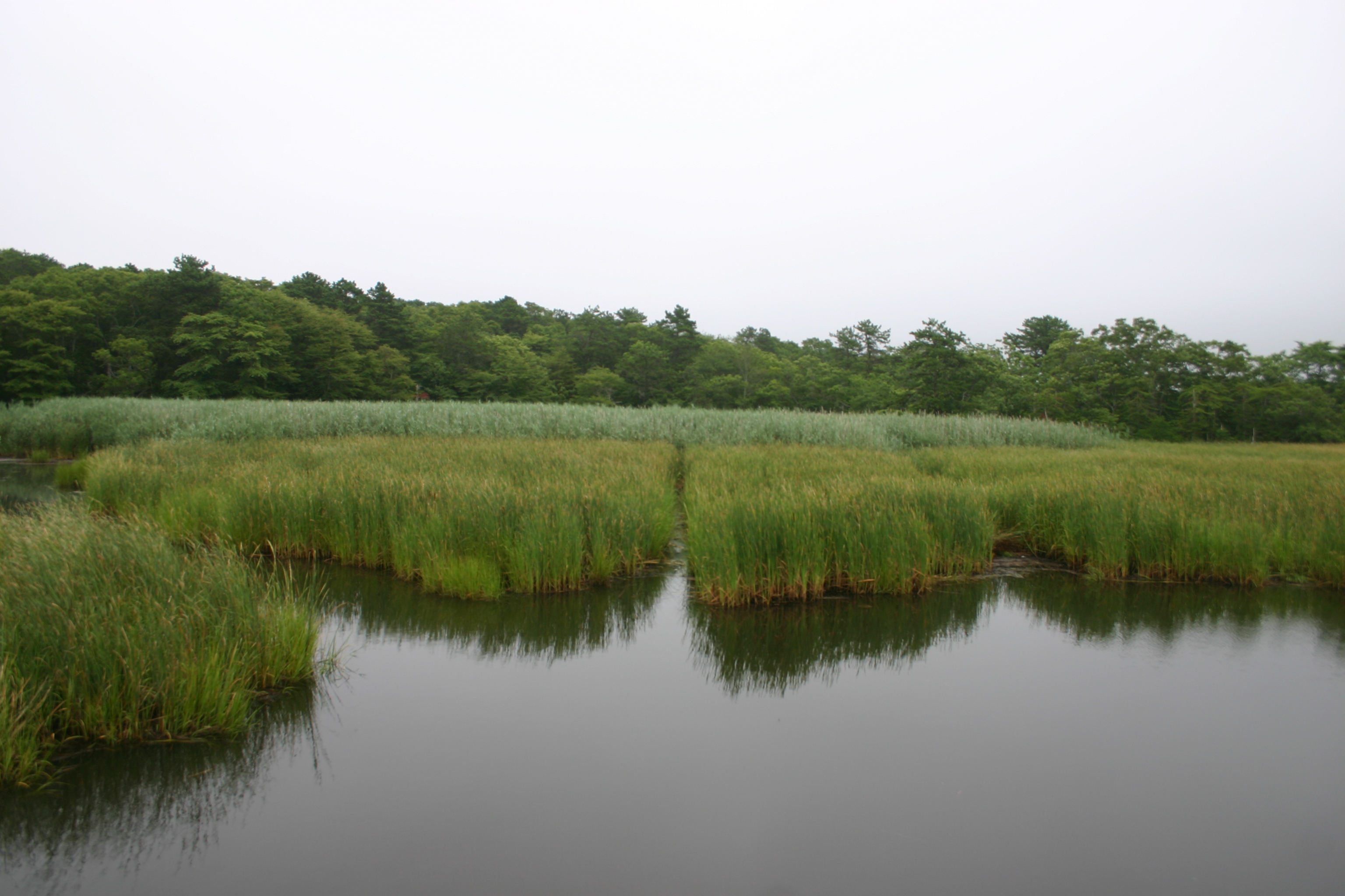 Bell's Neck Road, West Harwich