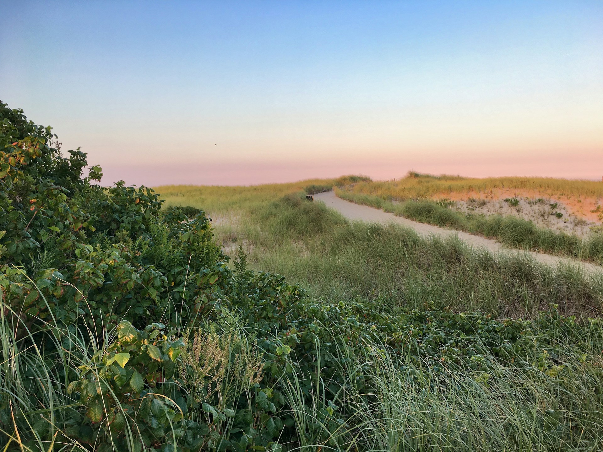 Chasing the June Light: A Visual Journey Through Early Summer on Cape Cod