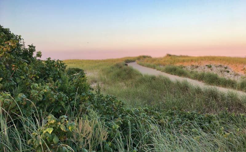 Chasing the June Light: A Visual Journey Through Early Summer on Cape Cod