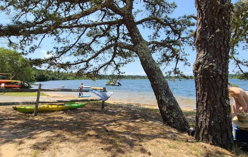 Great Pond Beach