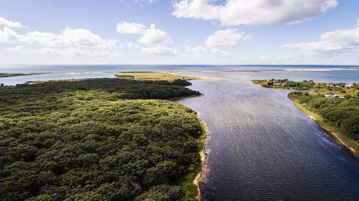 Long Point Wildlife Refuge