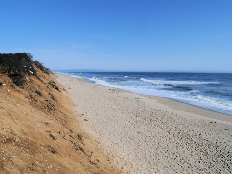 Nauset Beach