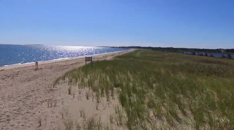 Tisbury Town Beach