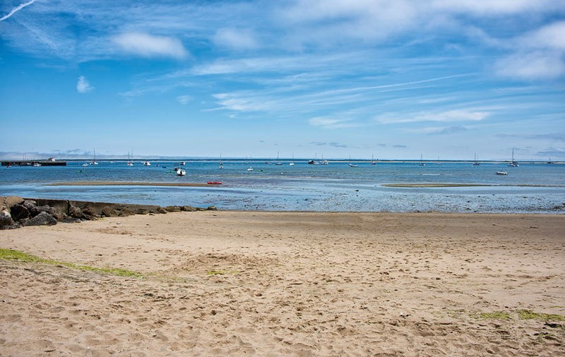 Dog Beach