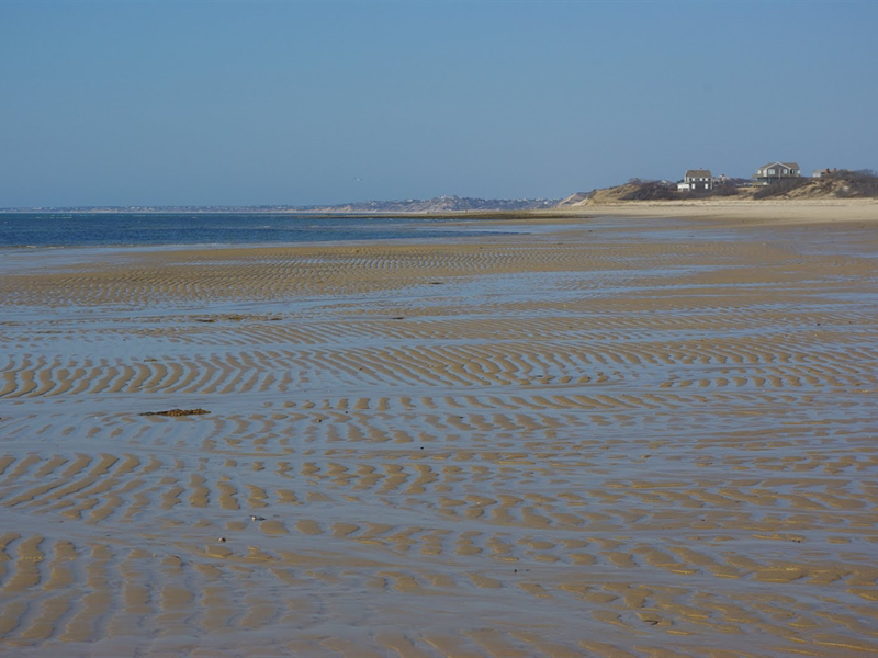 Duck Harbor Beach