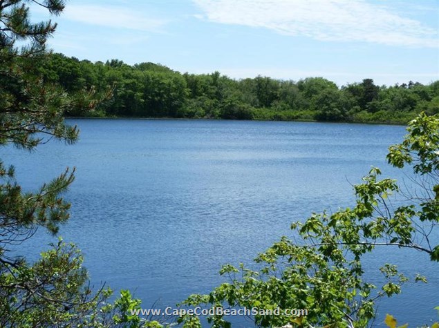 Lond Pond Beach