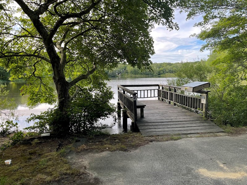 Schoolhouse Pond