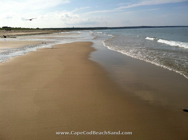 Scusset Beach